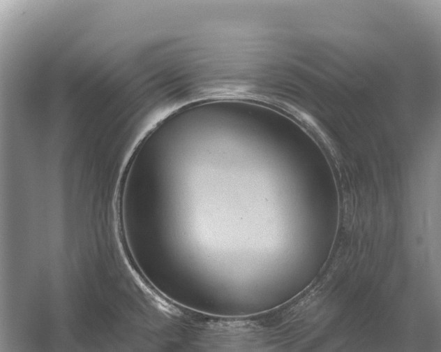X0000058821432200510071742