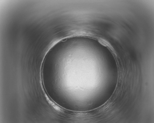 X0000058821439200510071742