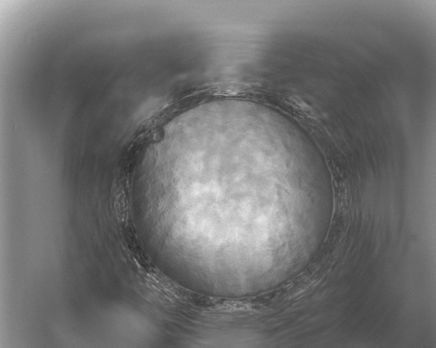 X0000058821446200510071742