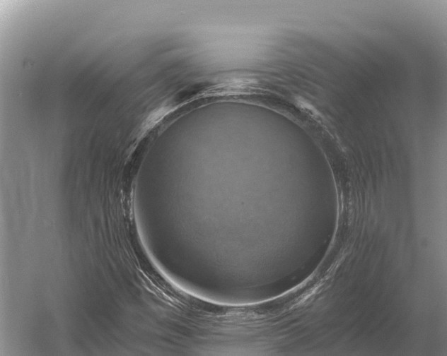 X0000058821449200510071741