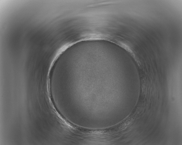 X0000058821472200510071741