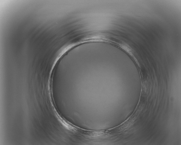 X0000058821482200510071741