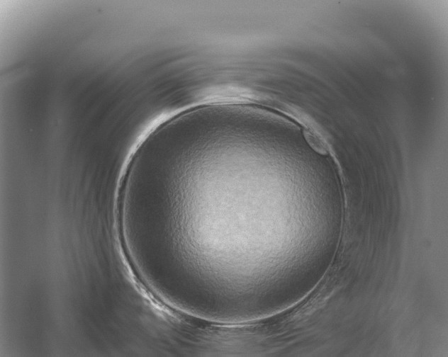 X0000058821488200510071741