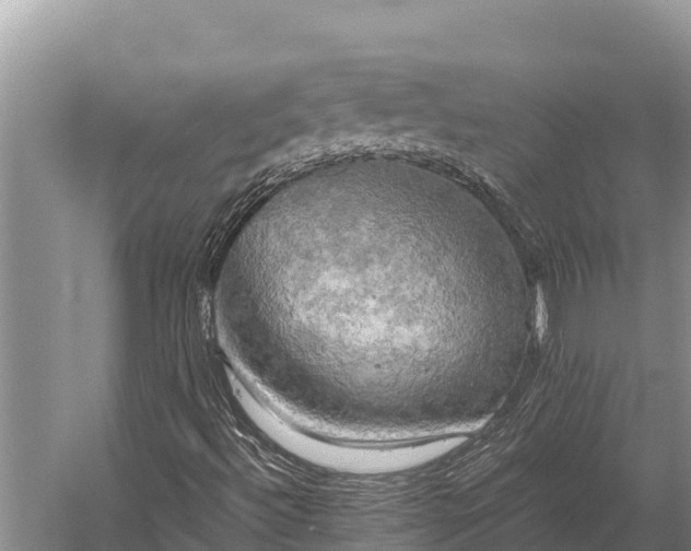 X0000058821492200510071740
