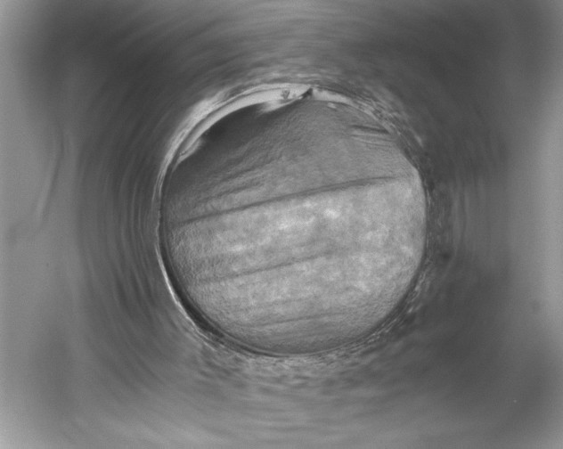 X0000058820003200510171549