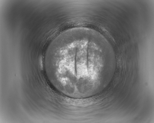 X0000058820026200510171549