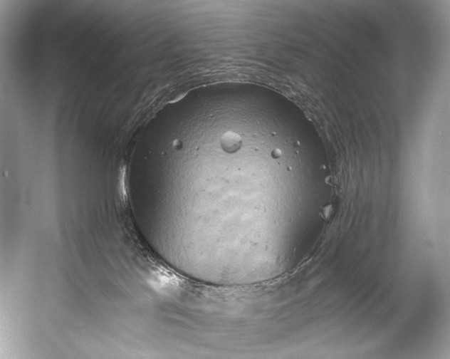 X0000058820041200510171548
