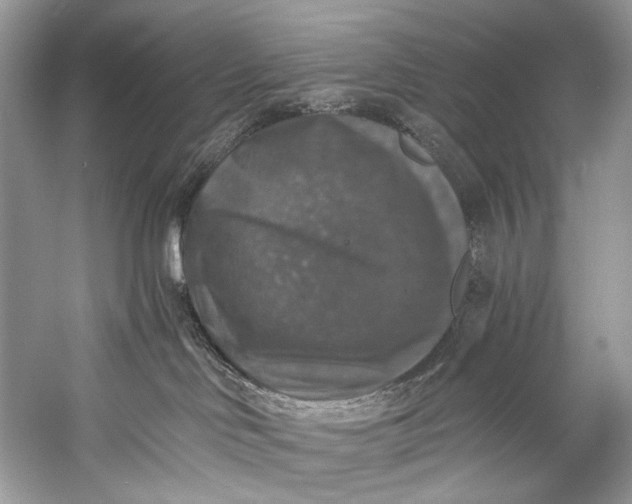 X0000058820046200510171548