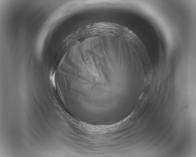 X0000058820047200510171548