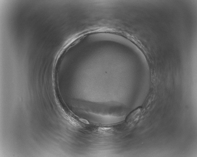 X0000058820055200510171548