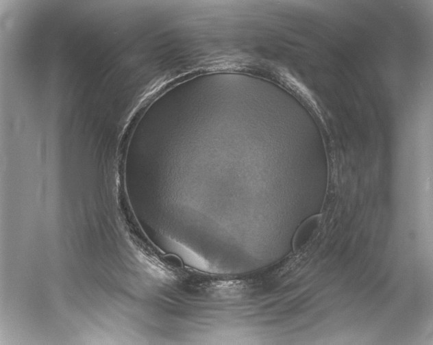 X0000058820059200510171548