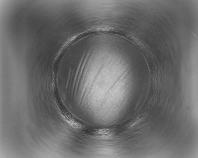 X0000058820064200510171548