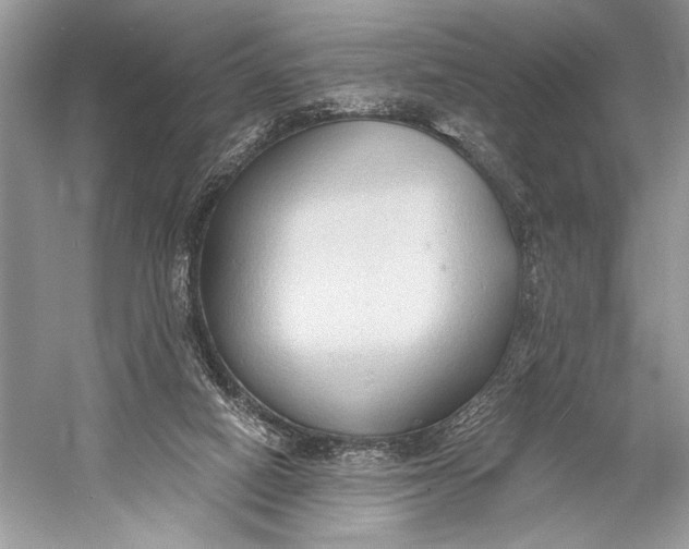 X0000058820066200510171548