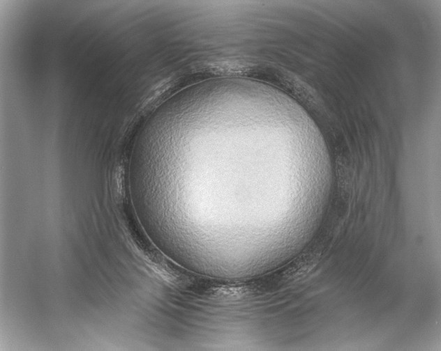 X0000058820071200510171548