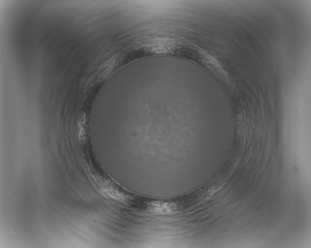 X0000058820073200510171548