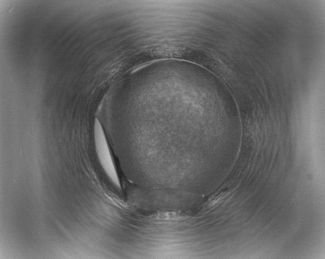 X0000058820080200510171548