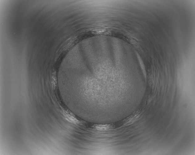 X0000058820085200510171548