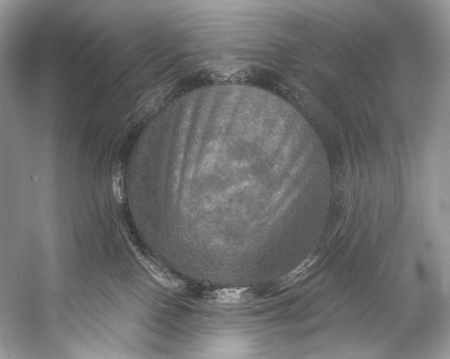 X0000058820090200510171548