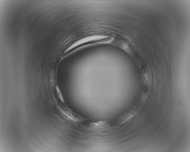 X0000058820092200510171548
