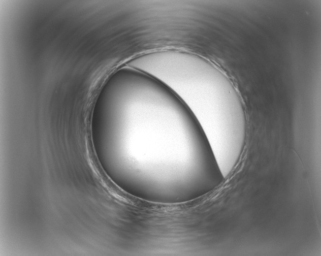X0000058820097200510171547