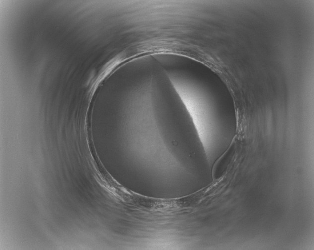 X0000058820099200510171547