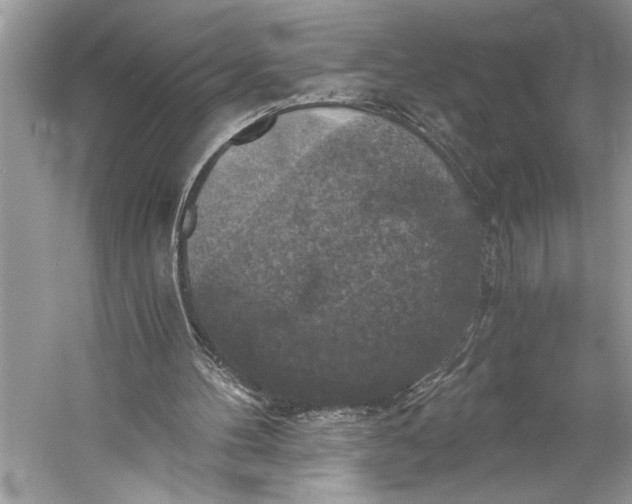 X0000058820100200510171547