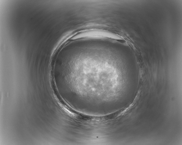 X0000058820101200510171547