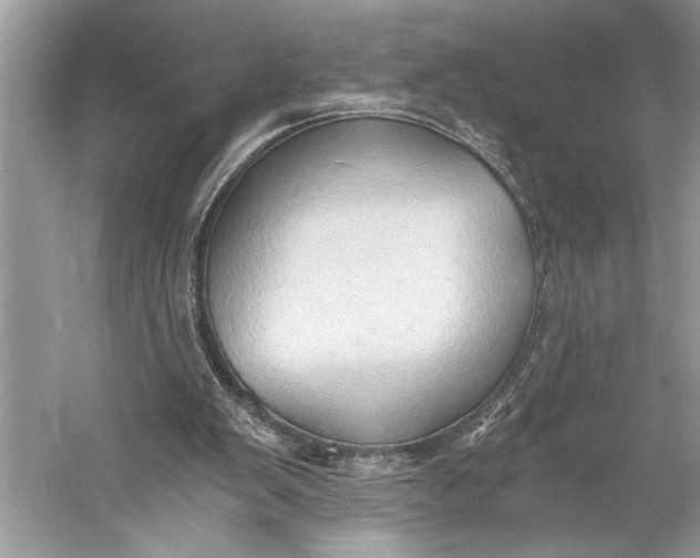 X0000058820103200510171547