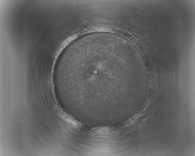 X0000058820104200510171547