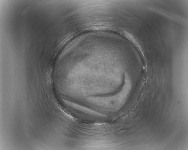 X0000058820105200510171547
