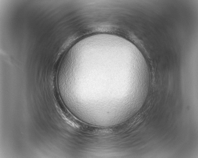 X0000058820106200510171547