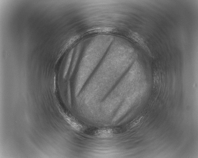 X0000058820110200510171547