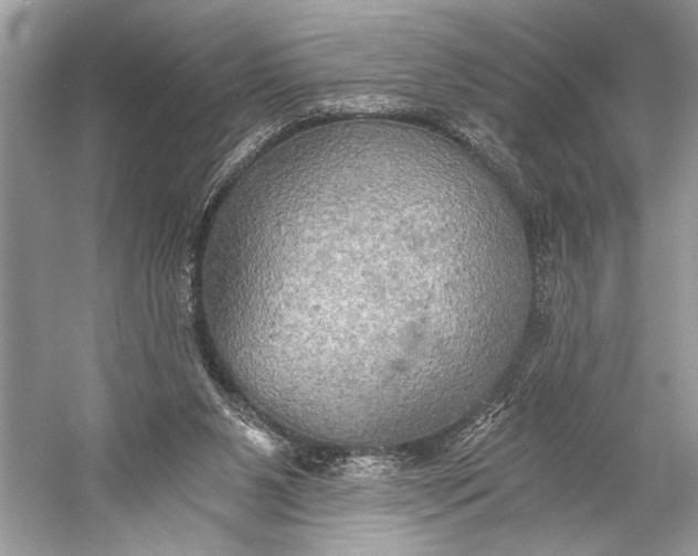 X0000058820111200510171547
