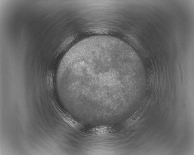 X0000058820120200510171547