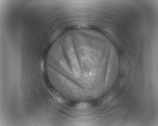 X0000058820123200510171547