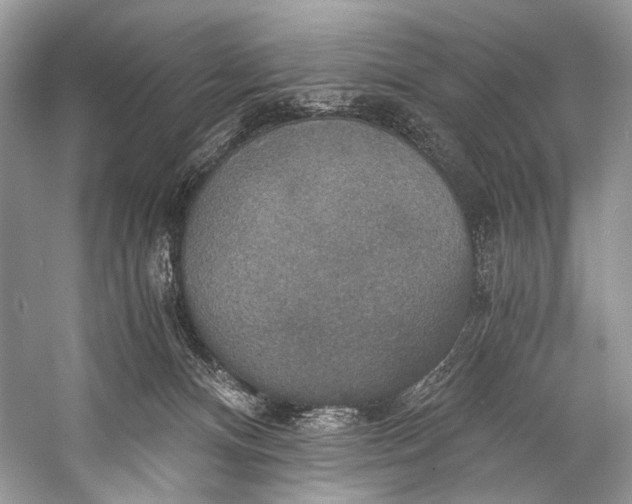 X0000058820128200510171547