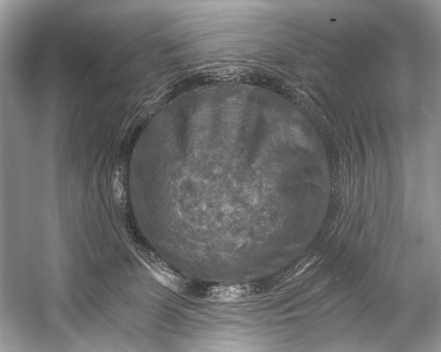 X0000058820131200510171547