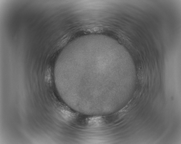 X0000058820132200510171547