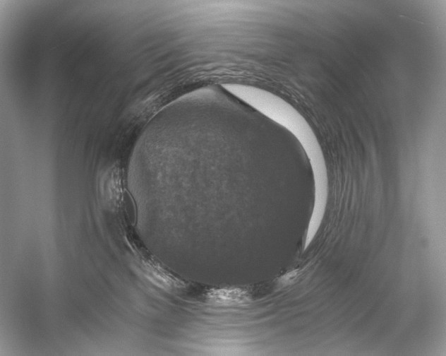 X0000058820137200510171547