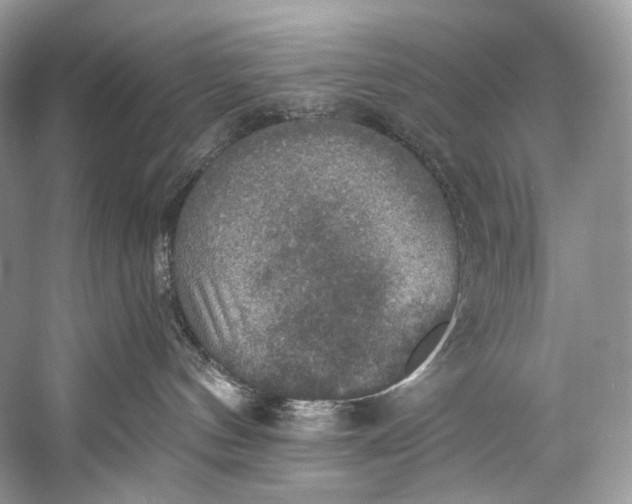 X0000058820144200510171547