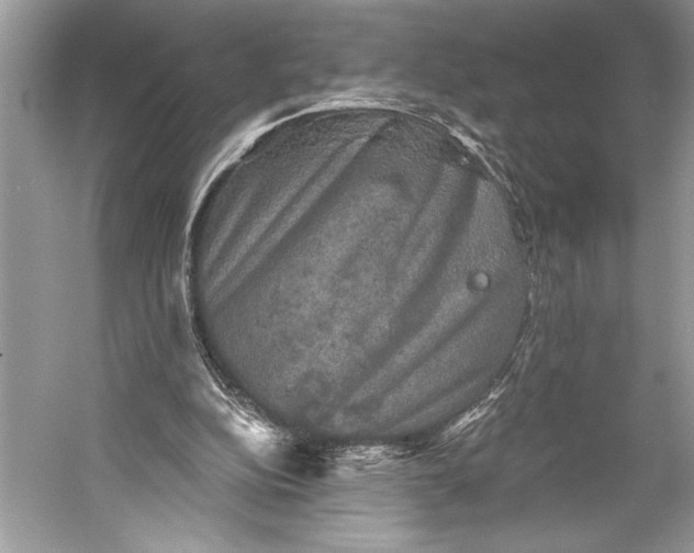 X0000058820152200510171546