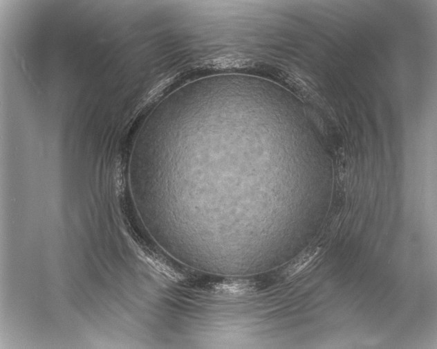 X0000058820164200510171546