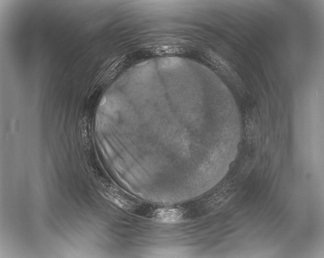 X0000058820169200510171546