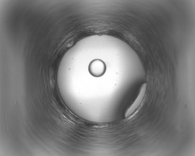 X0000058820170200510171546