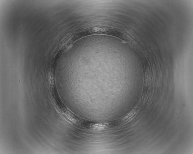 X0000058820176200510171546