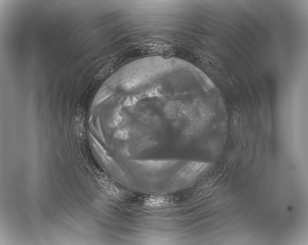 X0000058820177200510171546