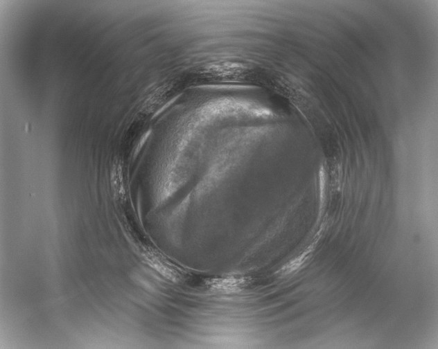 X0000058820182200510171546