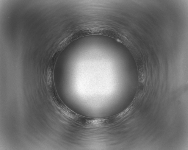 X0000058820184200510171546