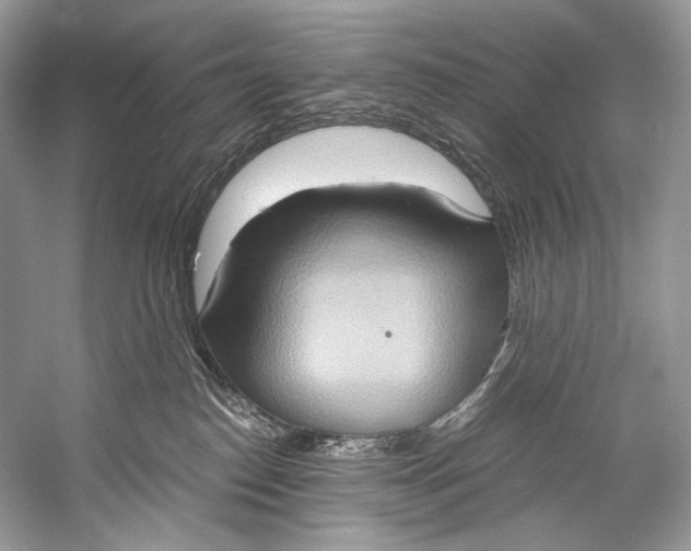 X0000058820186200510171546