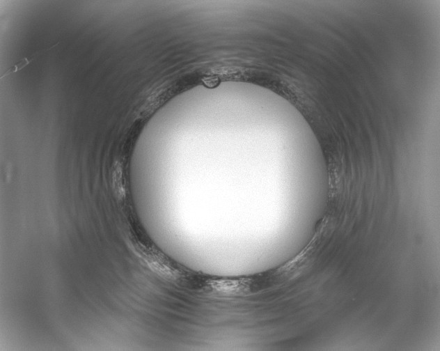 X0000058820187200510171546